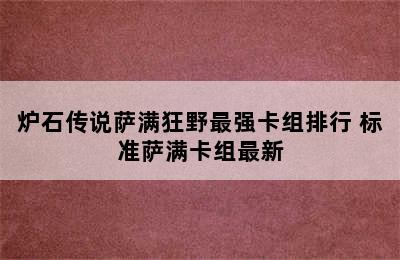 炉石传说萨满狂野最强卡组排行 标准萨满卡组最新